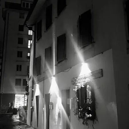 Alkecè White * Udine