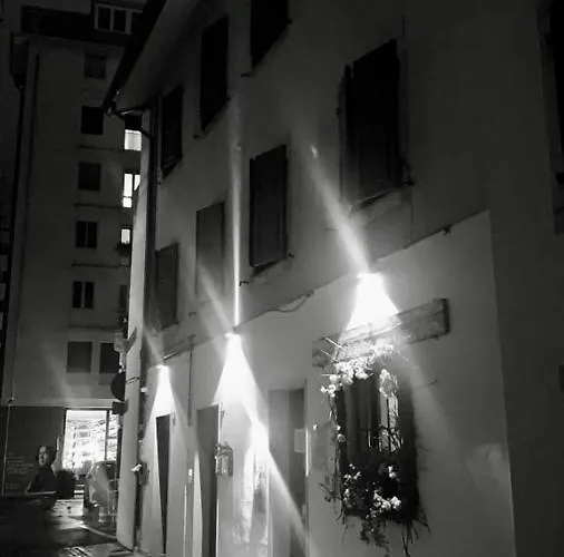 Alkece White * Udine